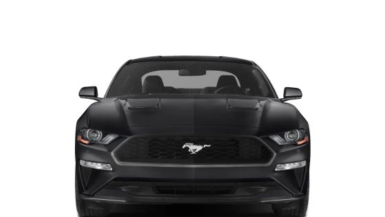 Ford Mustang Public Exterior 025